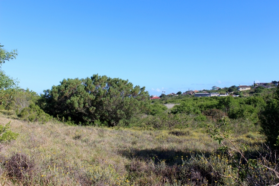 0 Bedroom Property for Sale in Forest Downs Eastern Cape